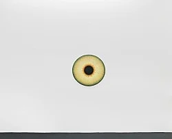 Visualities — Ulla Wiggen — Exhibitions — Galerie Buchholz — Image 30