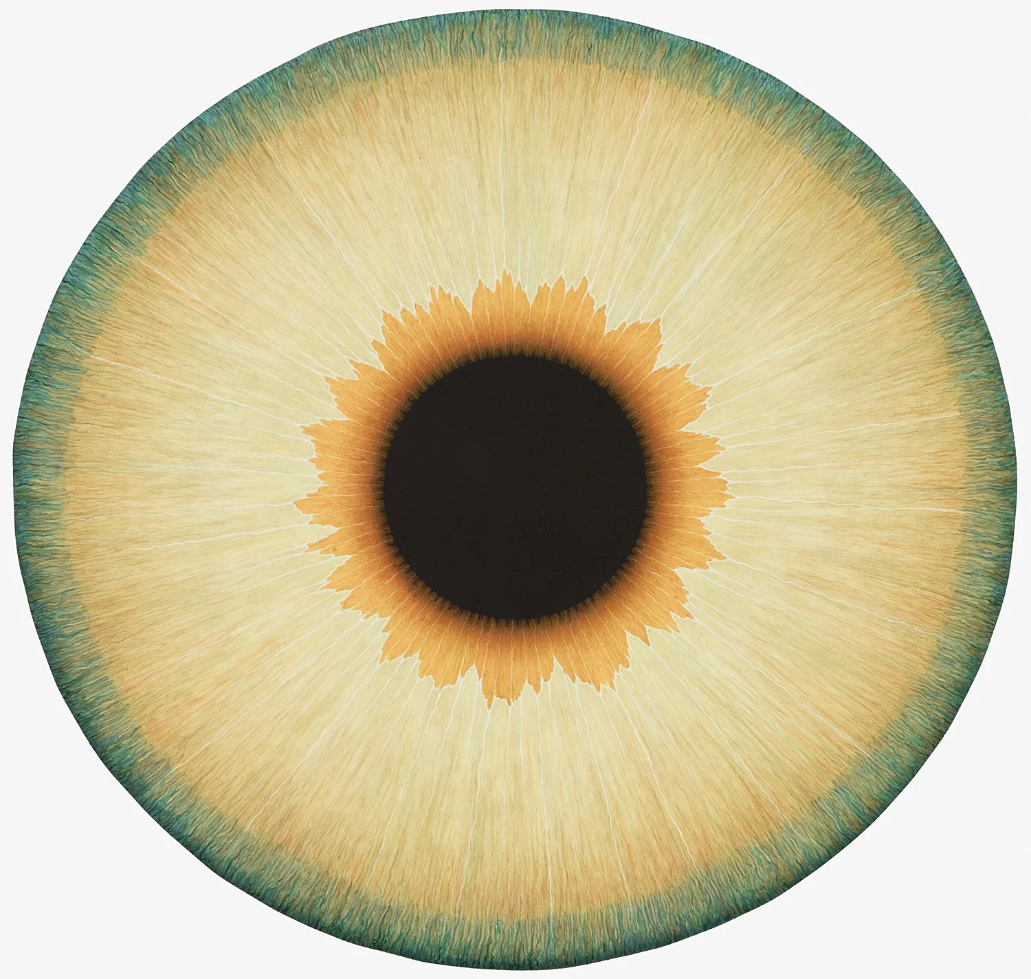 Visualities — Ulla Wiggen — Exhibitions — Galerie Buchholz — Image 12