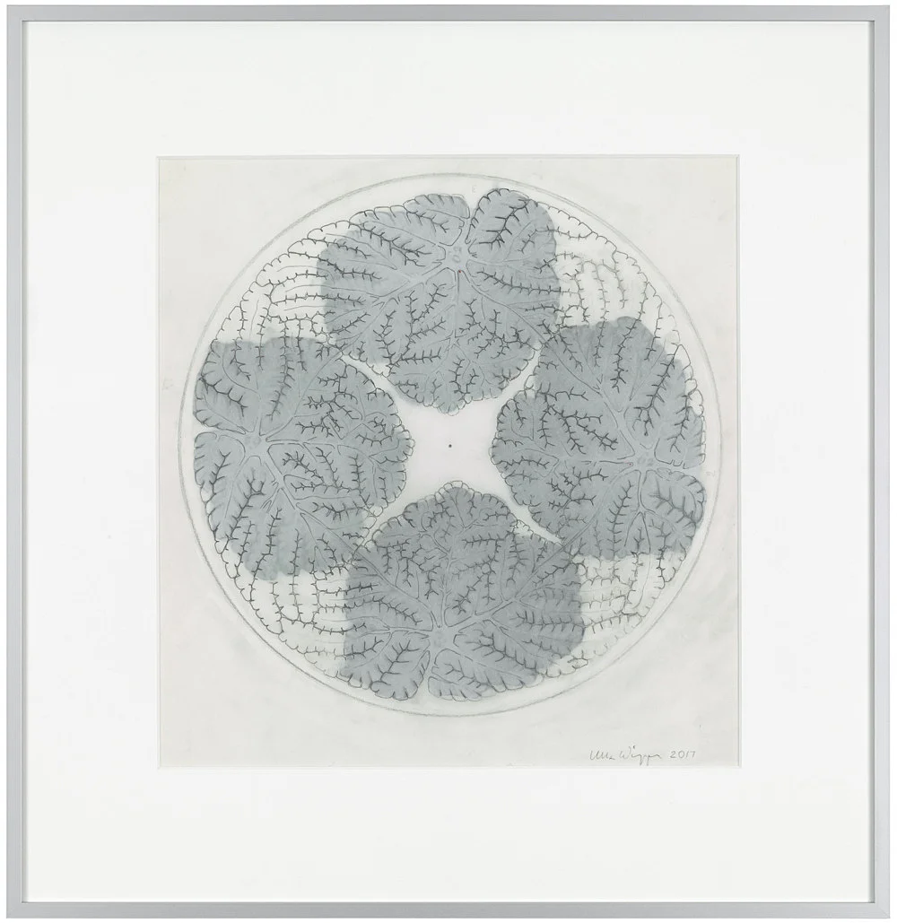 Visualities — Ulla Wiggen — Exhibitions — Galerie Buchholz — Image 22