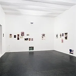8220Bulli8221 — Stefan Thater — Exhibitions — Galerie Buchholz — Image 18