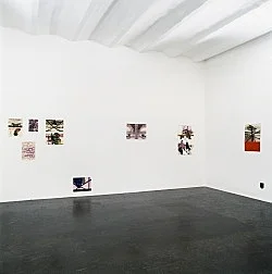 8220Bulli8221 — Stefan Thater — Exhibitions — Galerie Buchholz — Image 23