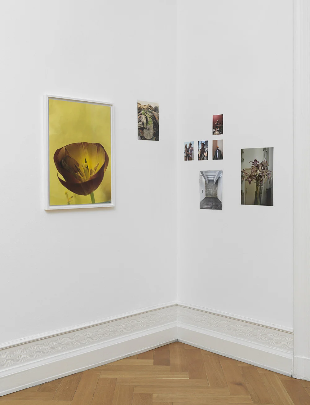 Wolfgang Tillmans Berlin 2020 — Wolfgang Tillmans — Exhibitions — Galerie Buchholz — Image 27