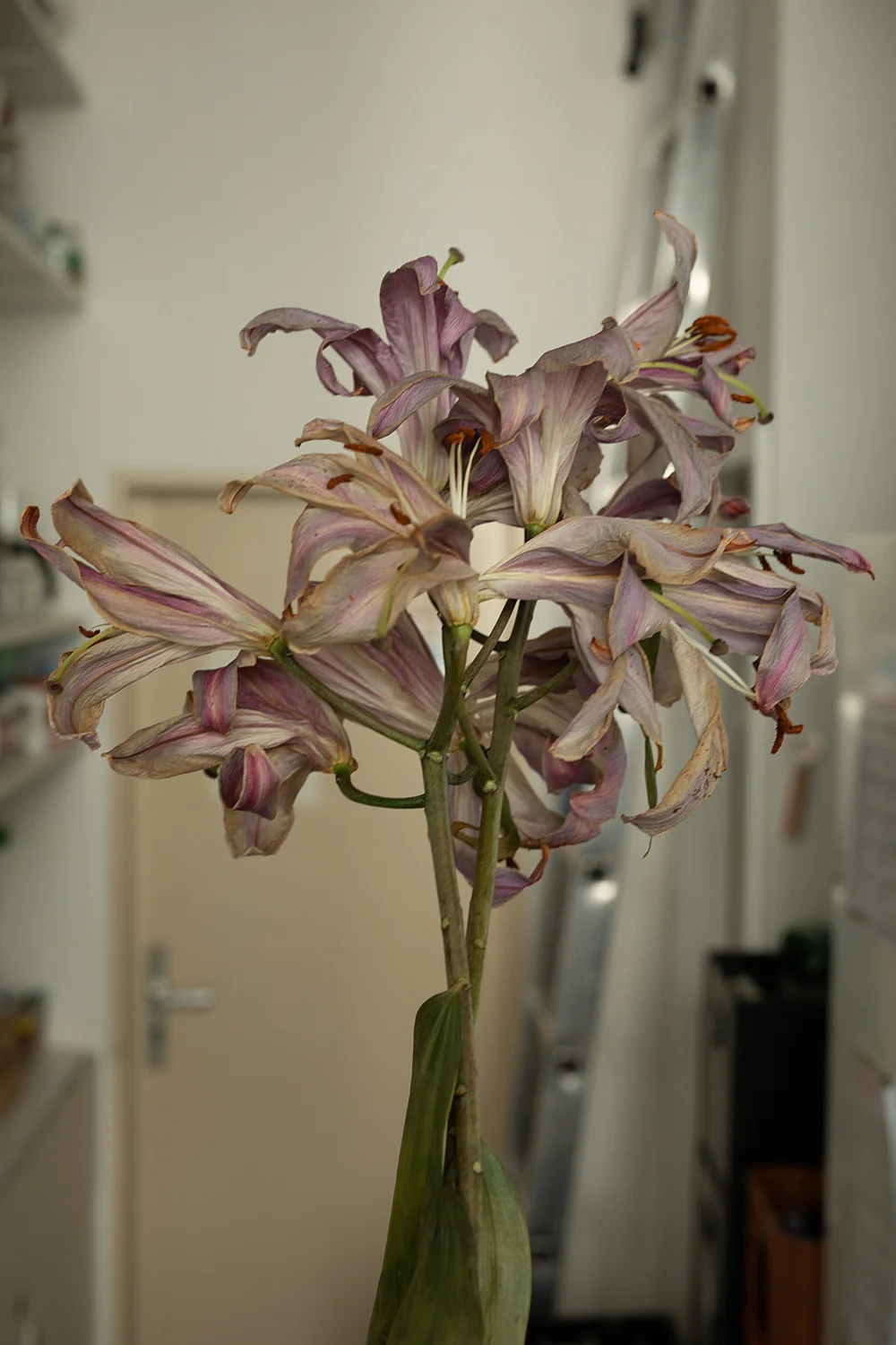 Wolfgang Tillmans Berlin 2020 — Wolfgang Tillmans — Exhibitions — Galerie Buchholz — Image 29