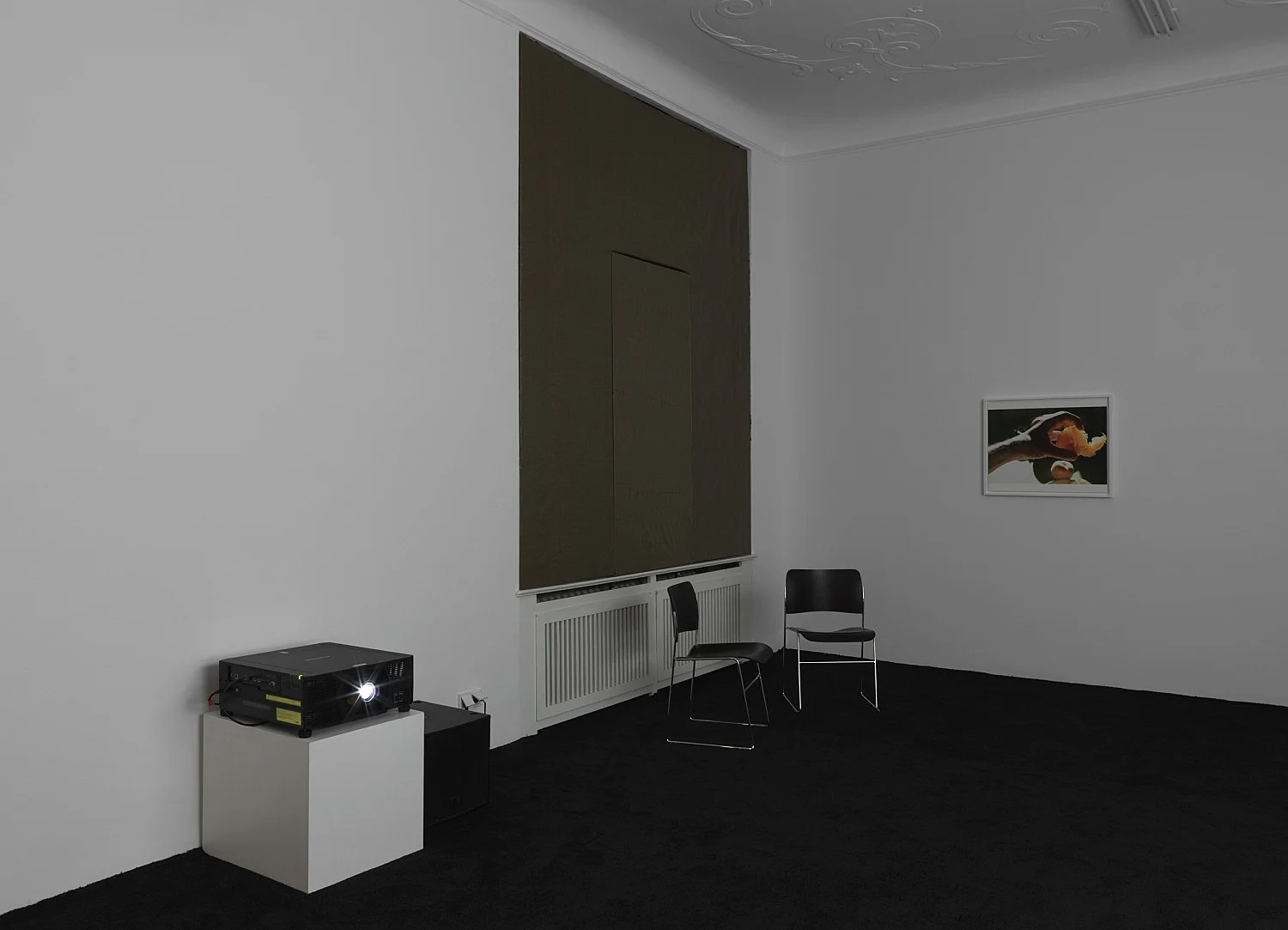 Wolfgang Tillmans Berlin 2020 — Wolfgang Tillmans — Exhibitions — Galerie Buchholz — Image 40