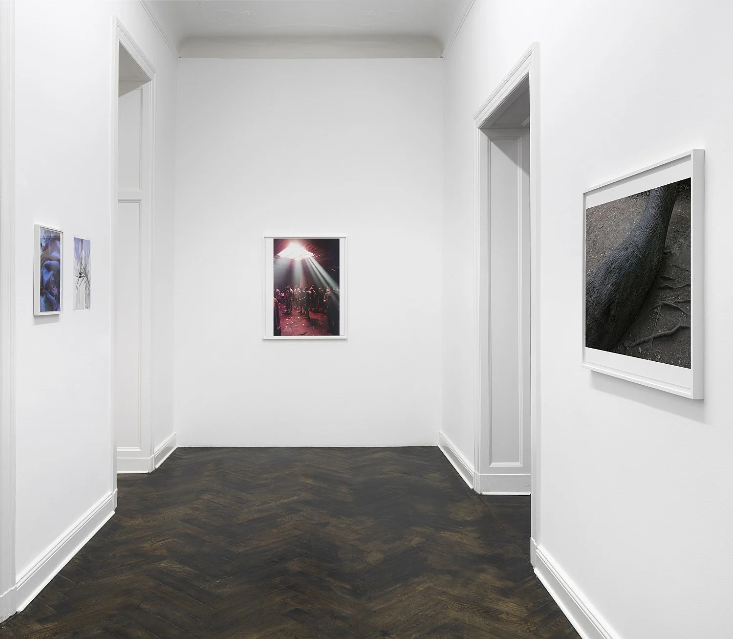 Wolfgang Tillmans Berlin 2020 — Wolfgang Tillmans — Exhibitions — Galerie Buchholz — Image 44
