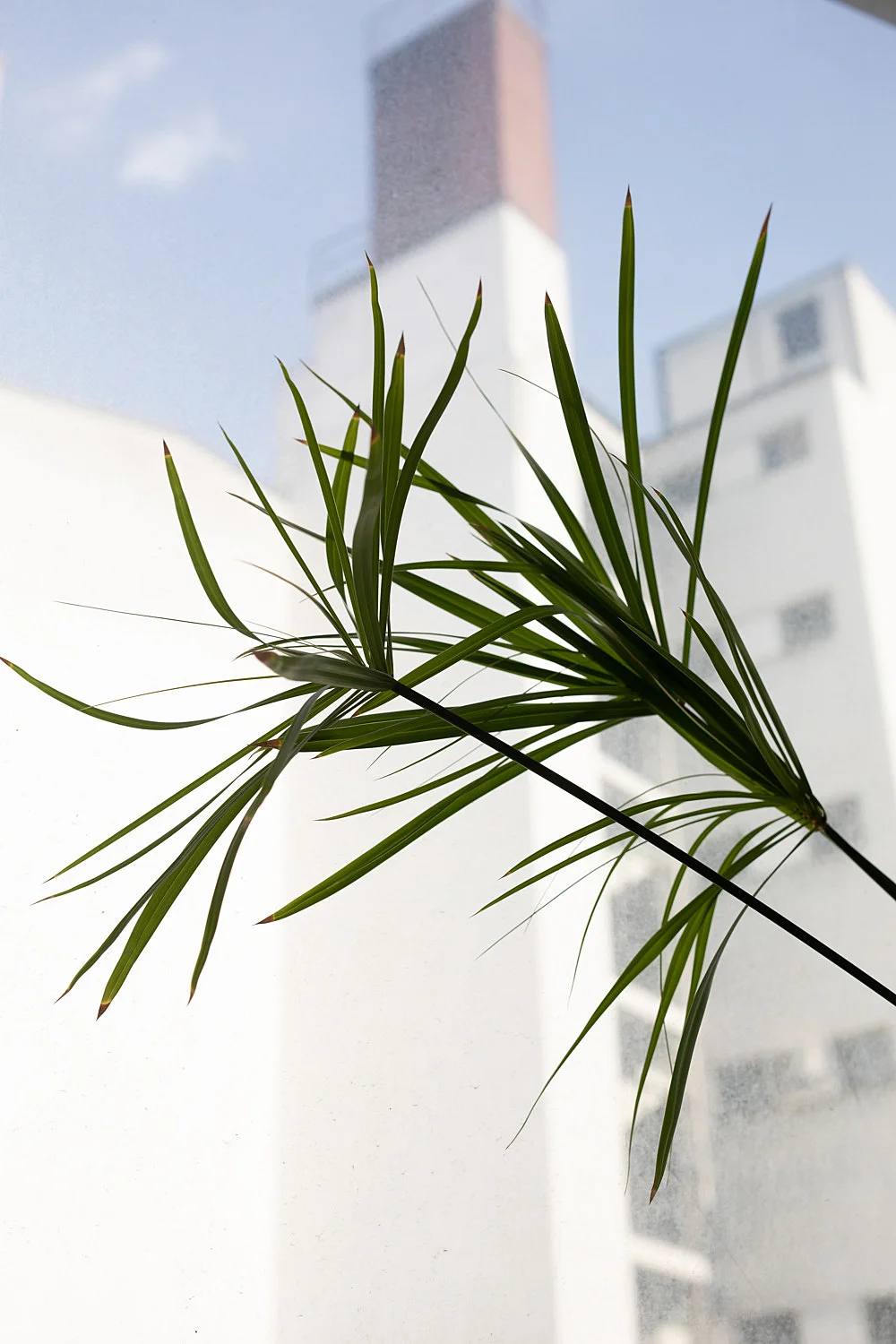 Wolfgang Tillmans Berlin 2020 — Wolfgang Tillmans — Exhibitions — Galerie Buchholz — Image 52