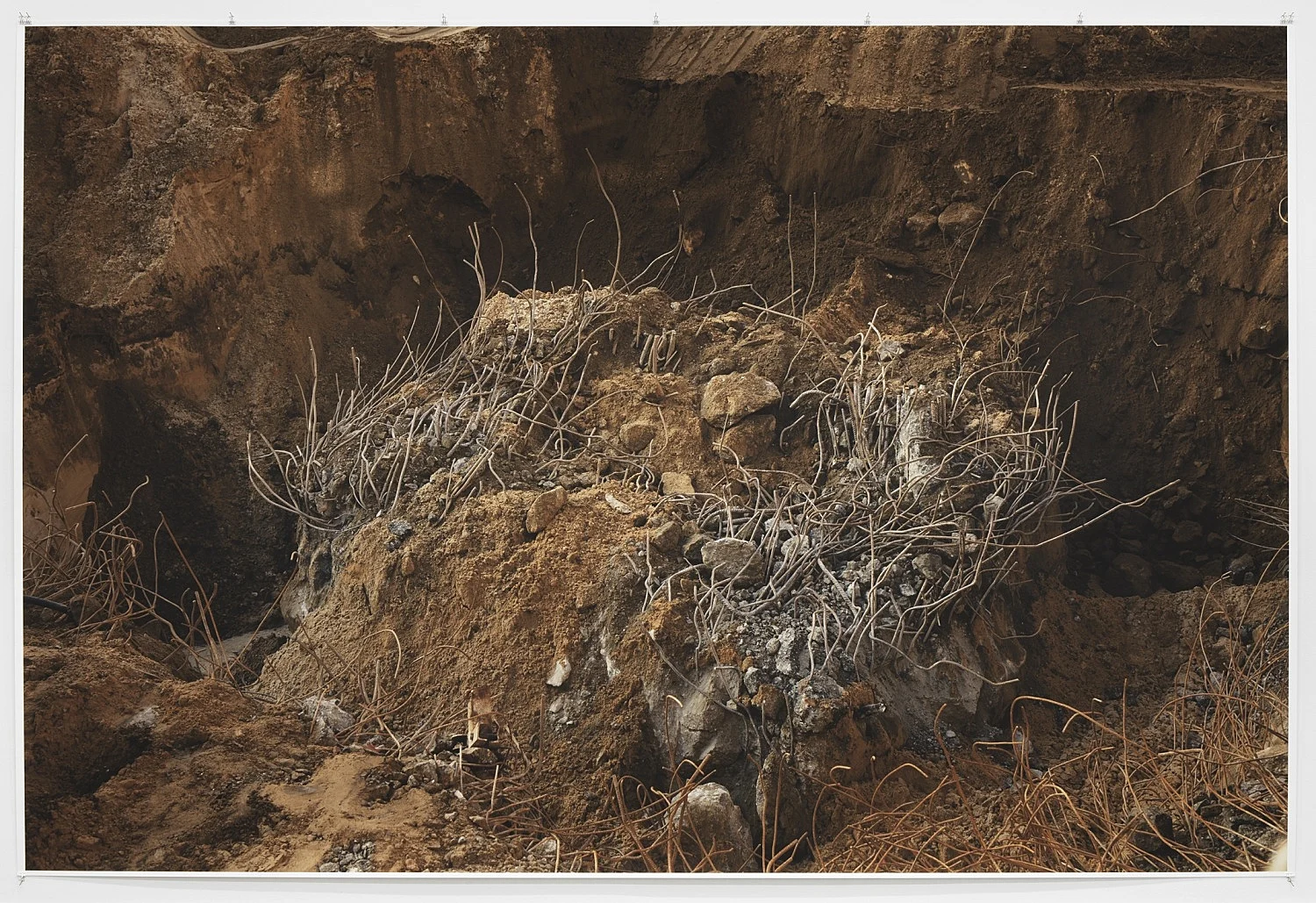 Wolfgang Tillmans Berlin 2020 — Wolfgang Tillmans — Exhibitions — Galerie Buchholz — Image 55