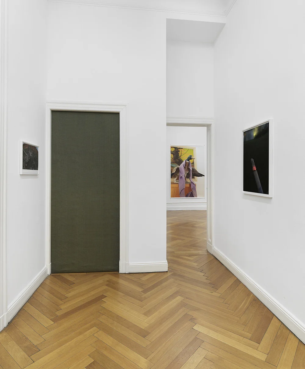 Wolfgang Tillmans Berlin 2020 — Wolfgang Tillmans — Exhibitions — Galerie Buchholz — Image 06
