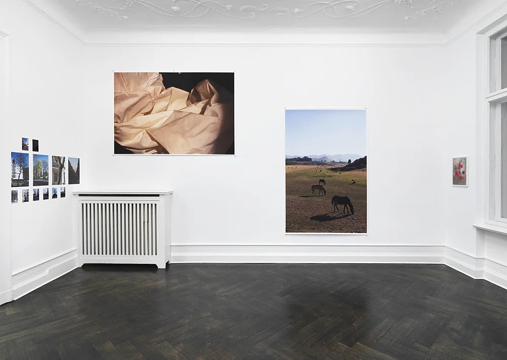 Wolfgang Tillmans Berlin 2020 — Wolfgang Tillmans — Exhibitions — Galerie Buchholz — Image 00