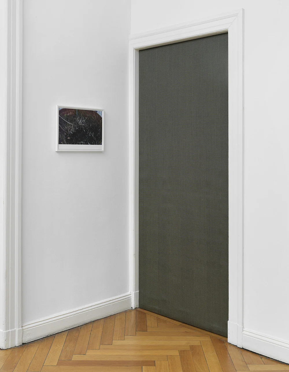 Wolfgang Tillmans Berlin 2020 — Wolfgang Tillmans — Exhibitions — Galerie Buchholz — Image 08