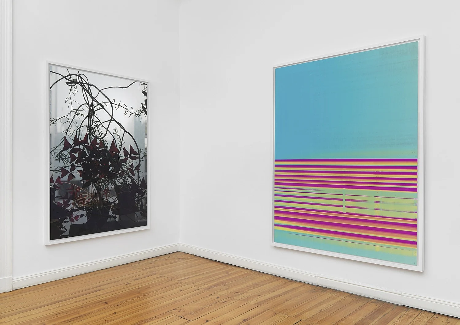 Wolfgang Tillmans Berlin 2020 — Wolfgang Tillmans — Exhibitions — Galerie Buchholz — Image 10
