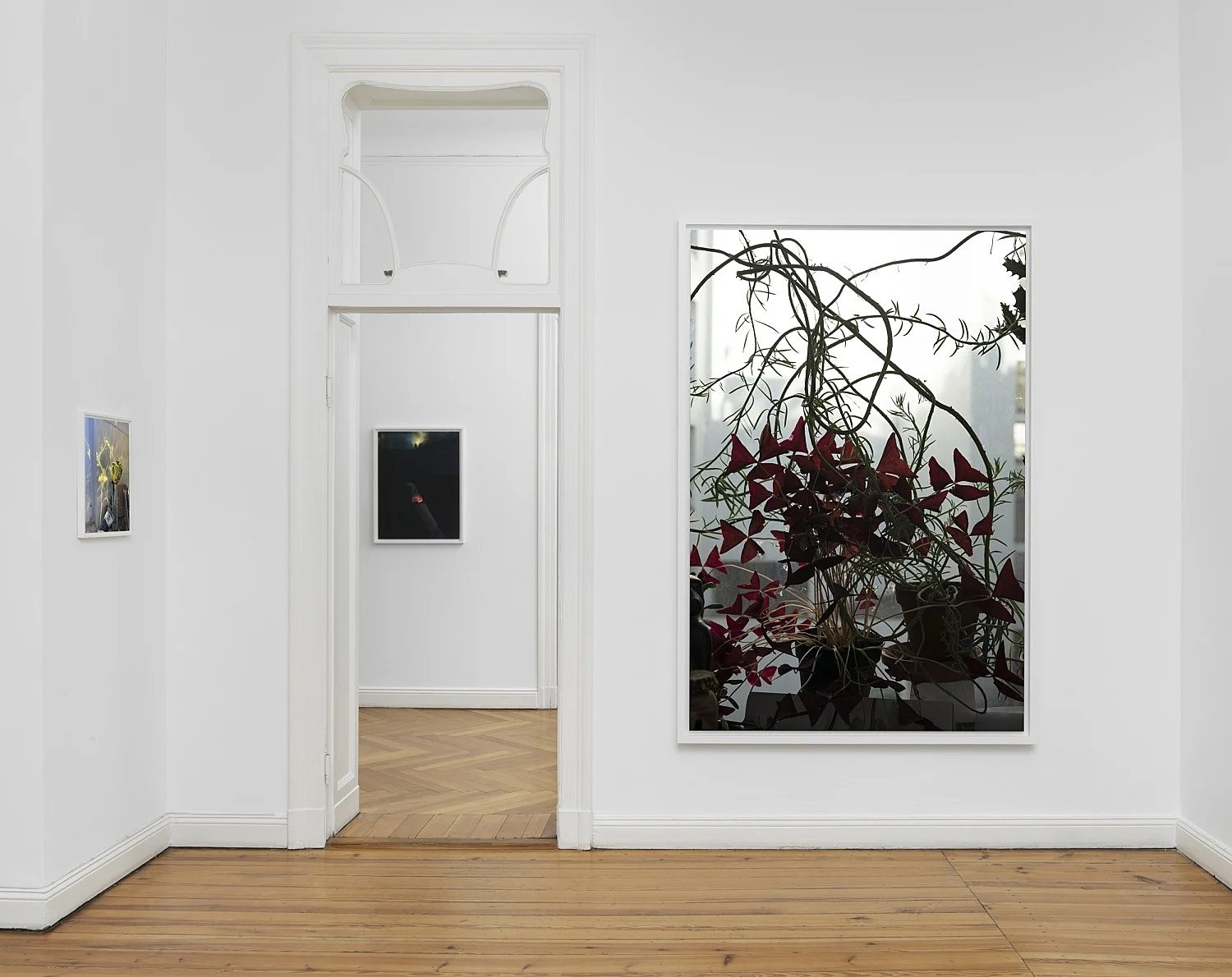 Wolfgang Tillmans Berlin 2020 — Wolfgang Tillmans — Exhibitions — Galerie Buchholz — Image 13
