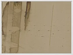Wolfgang Tillmans Berlin 2020 — Wolfgang Tillmans — Exhibitions — Galerie Buchholz — Image 81