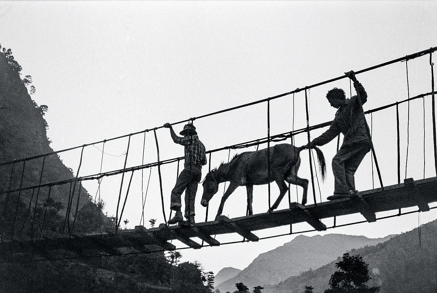 SingersofTenThousandLines — Michael Oppitz — Exhibitions — Galerie Buchholz — Image 48