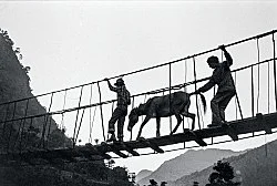 Singers of Ten Thousand Lines — Michael Oppitz — Exhibitions — Galerie Buchholz — Image 97