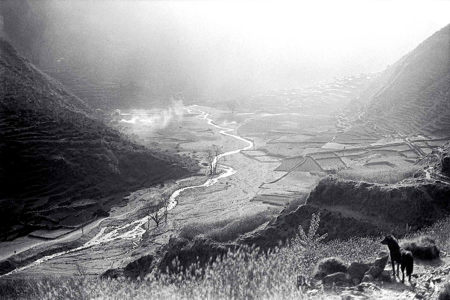 SingersofTenThousandLines — Michael Oppitz — Exhibitions — Galerie Buchholz — Image 49