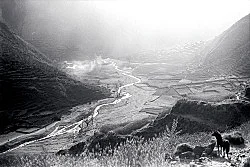 Singers of Ten Thousand Lines — Michael Oppitz — Exhibitions — Galerie Buchholz — Image 98