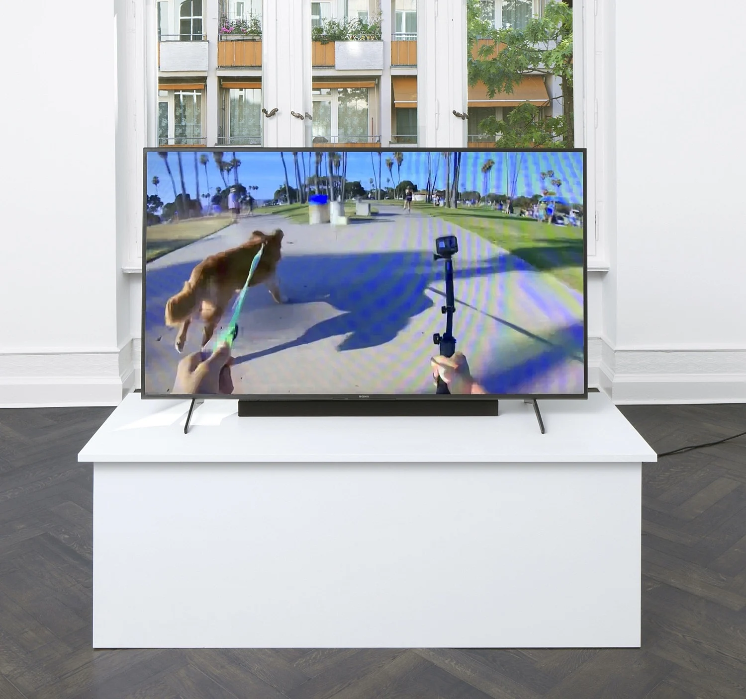 Peter Fischli Berlin 2021 — Peter Fischli — Exhibitions — Galerie Buchholz — Image 68