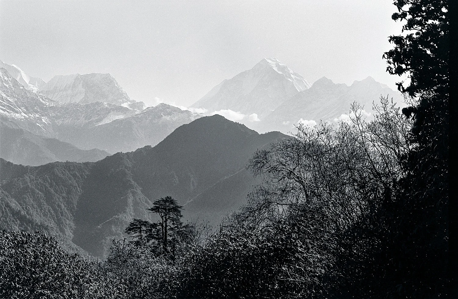 SingersofTenThousandLines — Michael Oppitz — Exhibitions — Galerie Buchholz — Image 12