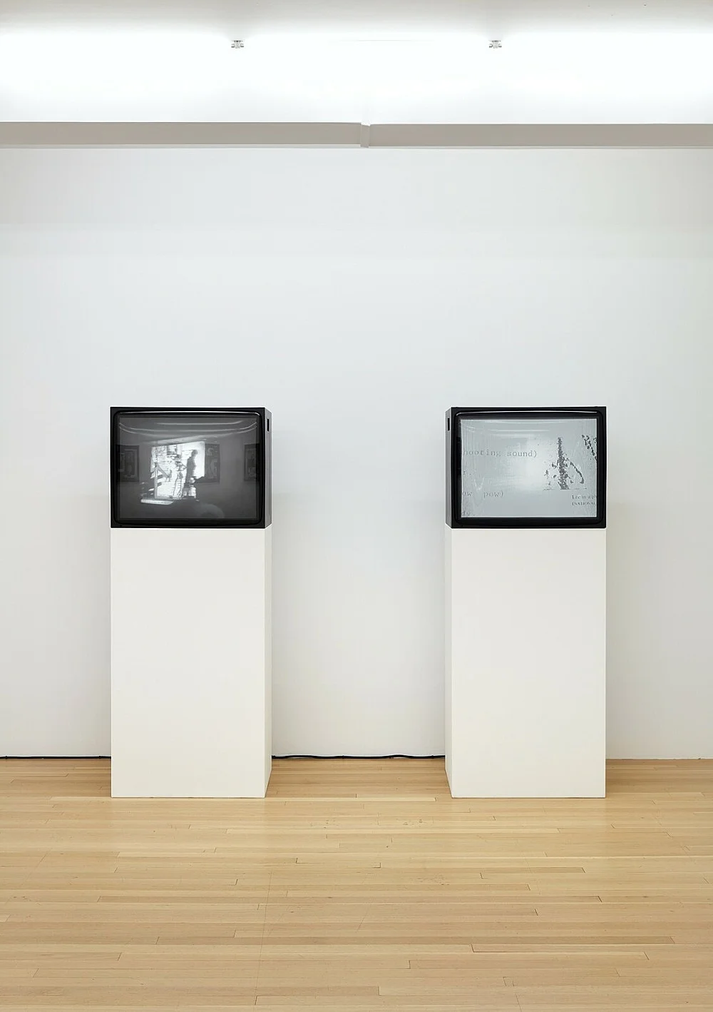 The Lee Harvey Oswald Interview — Lutz Bacher — Exhibitions — Galerie Buchholz — Image 14