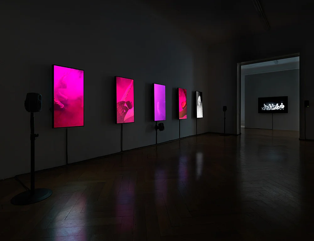 O MAGIC POWER OF BLEAKNESS — Mark Leckey — Exhibitions — Galerie Buchholz — Image 00