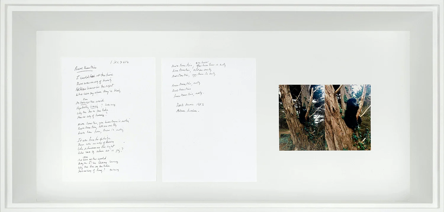 MoreThanThis — Lutz Bacher — Exhibitions — Galerie Buchholz — Image 15