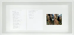 MoreThanThis — Lutz Bacher — Exhibitions — Galerie Buchholz — Image 27