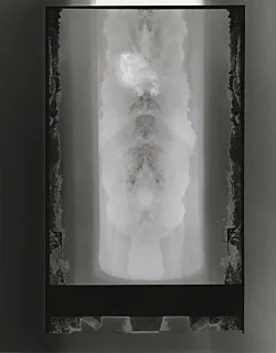 Trisha Donnelly GBB 2022 — Trisha Donnelly — Exhibitions — Galerie Buchholz — Image 33