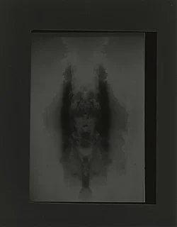 Trisha Donnelly GBB 2022 — Trisha Donnelly — Exhibitions — Galerie Buchholz — Image 21