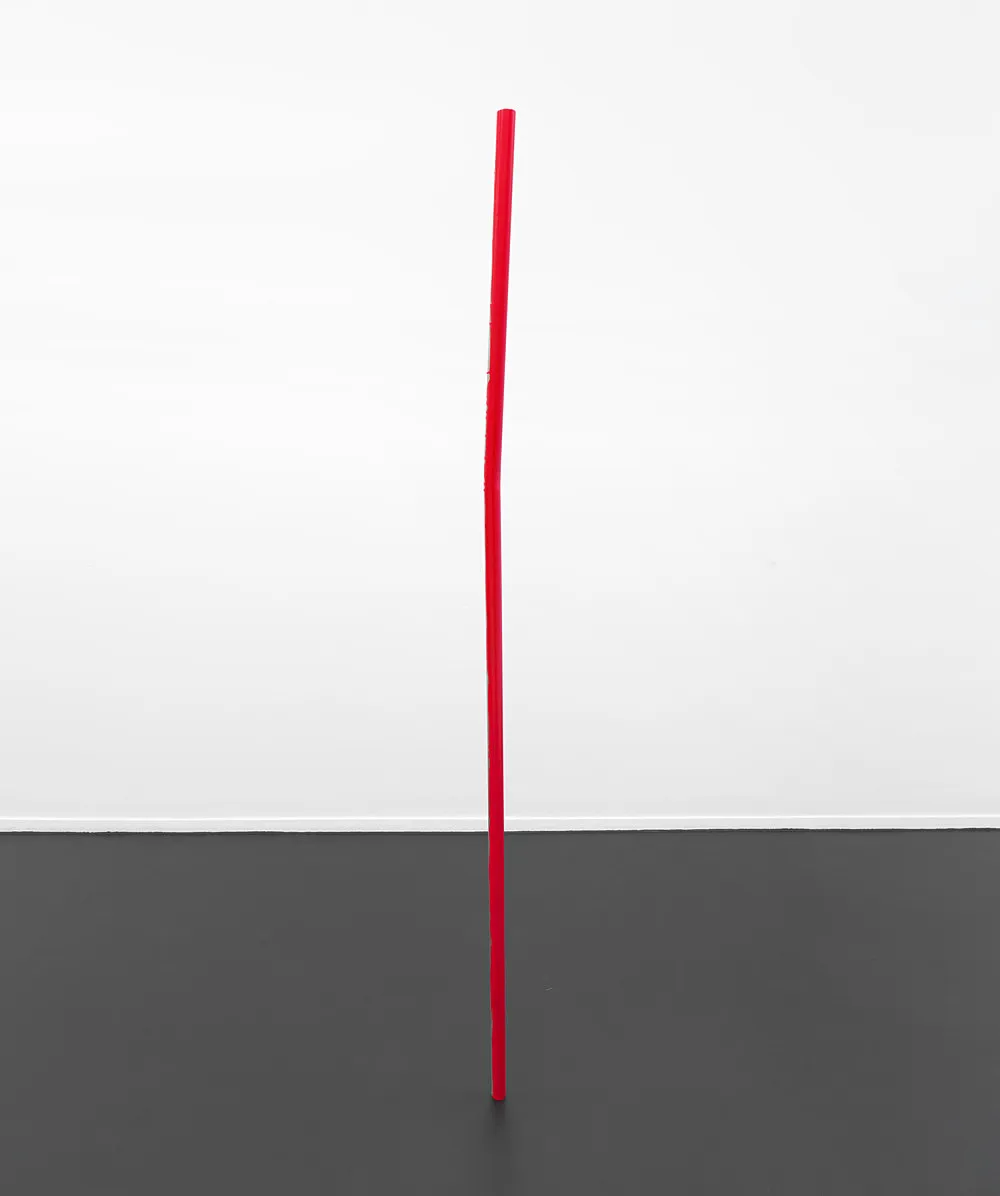 Digestion — Henrik Olesen — Exhibitions — Galerie Buchholz — Image 28