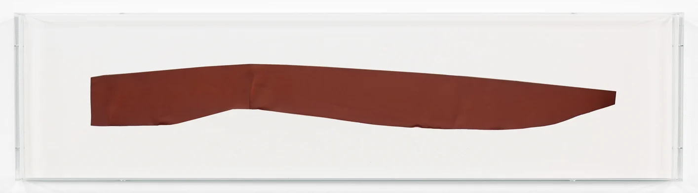 Florian Pumhösl - Galerie Buchholz Berlin 2022 — Florian Pumhösl — Exhibitions — Galerie Buchholz — Image 22
