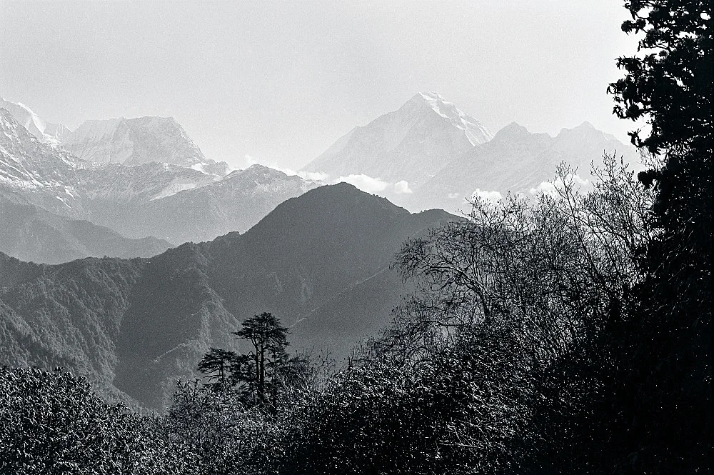 SingersofTenThousandLines — Michael Oppitz — Exhibitions — Galerie Buchholz — Image 00