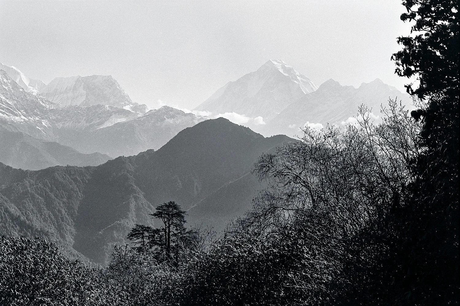 SingersofTenThousandLines — Michael Oppitz — Exhibitions — Galerie Buchholz — Image 14