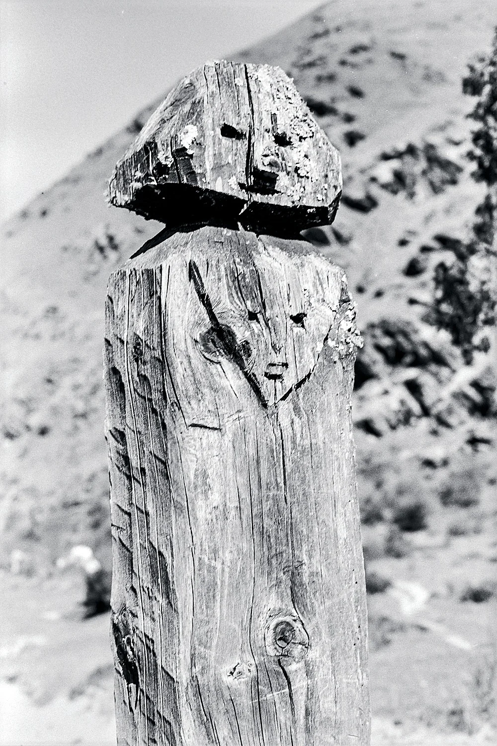 SingersofTenThousandLines — Michael Oppitz — Exhibitions — Galerie Buchholz — Image 17