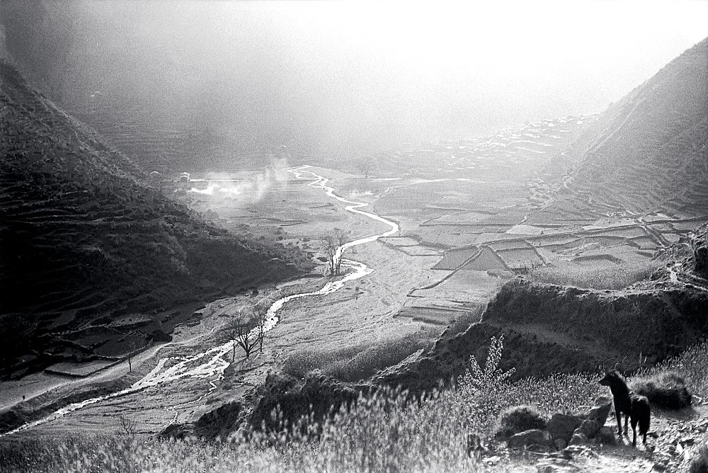 SingersofTenThousandLines — Michael Oppitz — Exhibitions — Galerie Buchholz — Image 00
