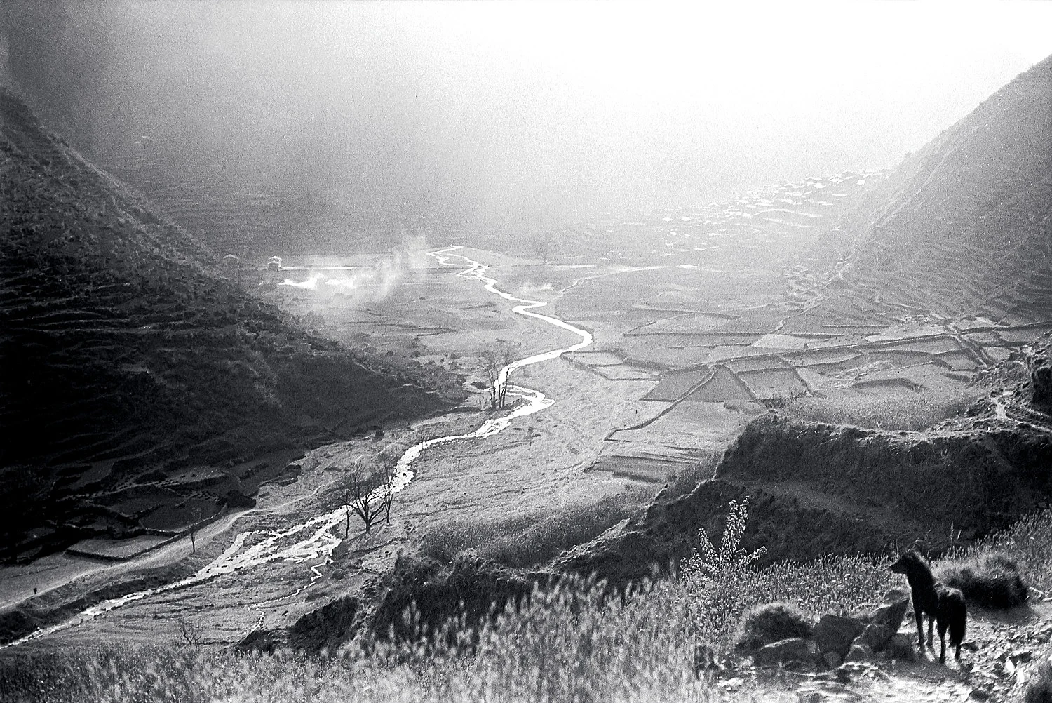 SingersofTenThousandLines — Michael Oppitz — Exhibitions — Galerie Buchholz — Image 21