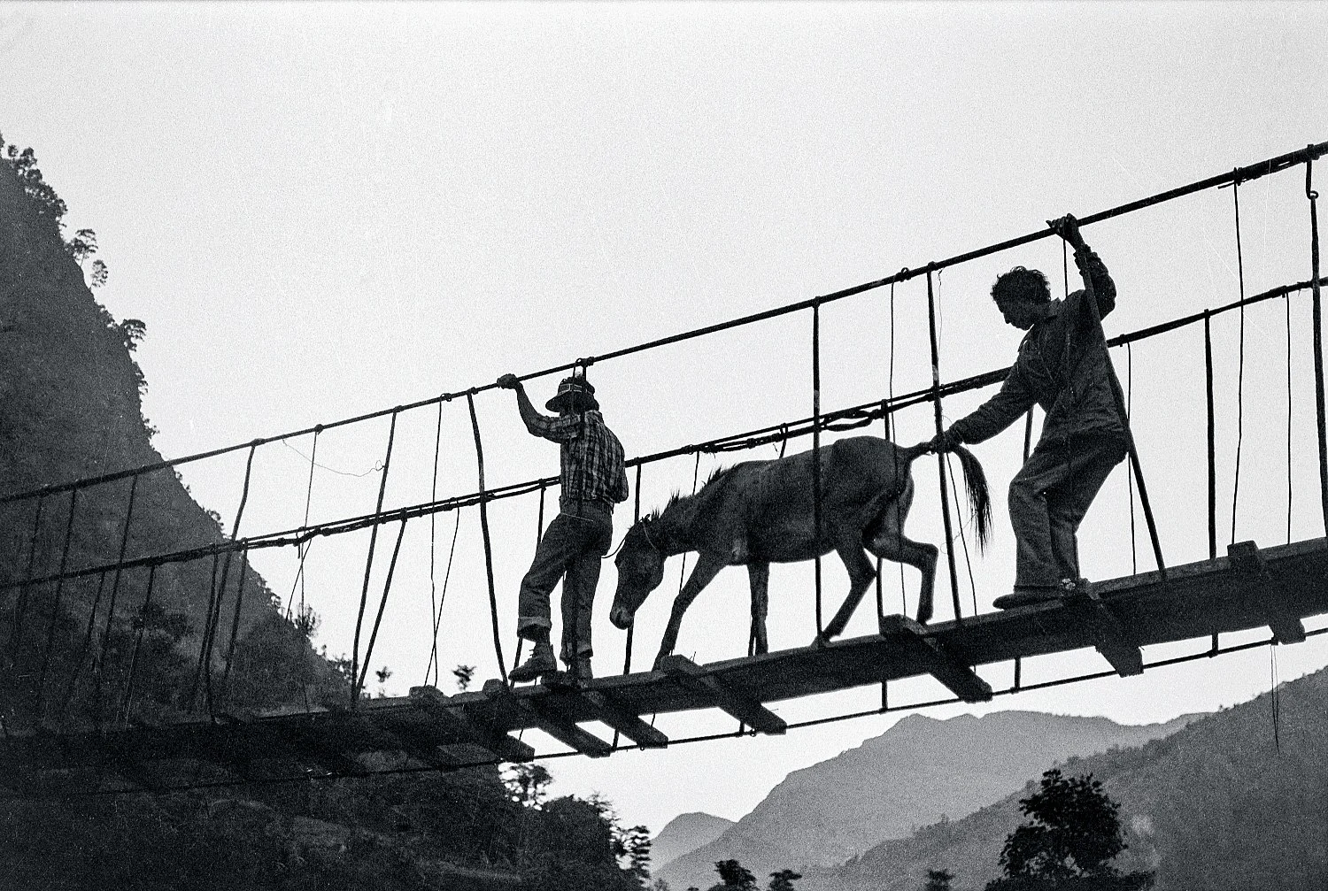 SingersofTenThousandLines — Michael Oppitz — Exhibitions — Galerie Buchholz — Image 22