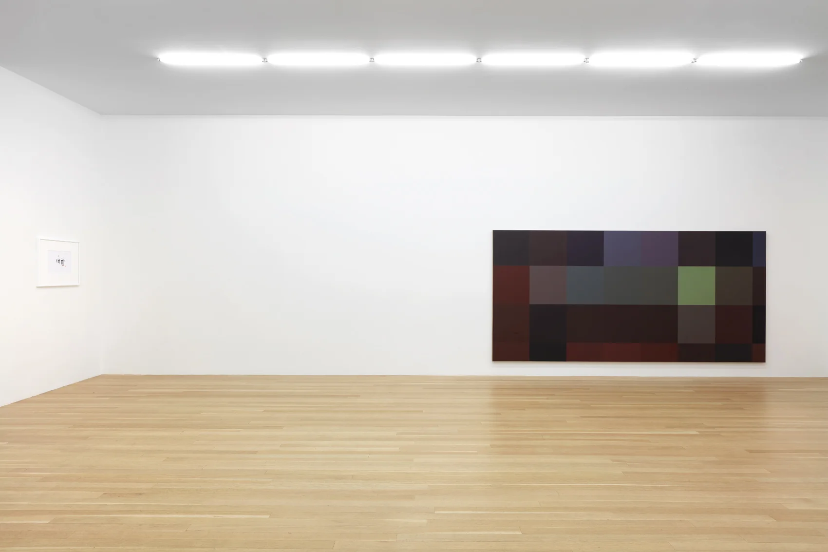 You May See Butterflies Elephant Springs — Gili Tal — Exhibitions — Galerie Buchholz — Image 00