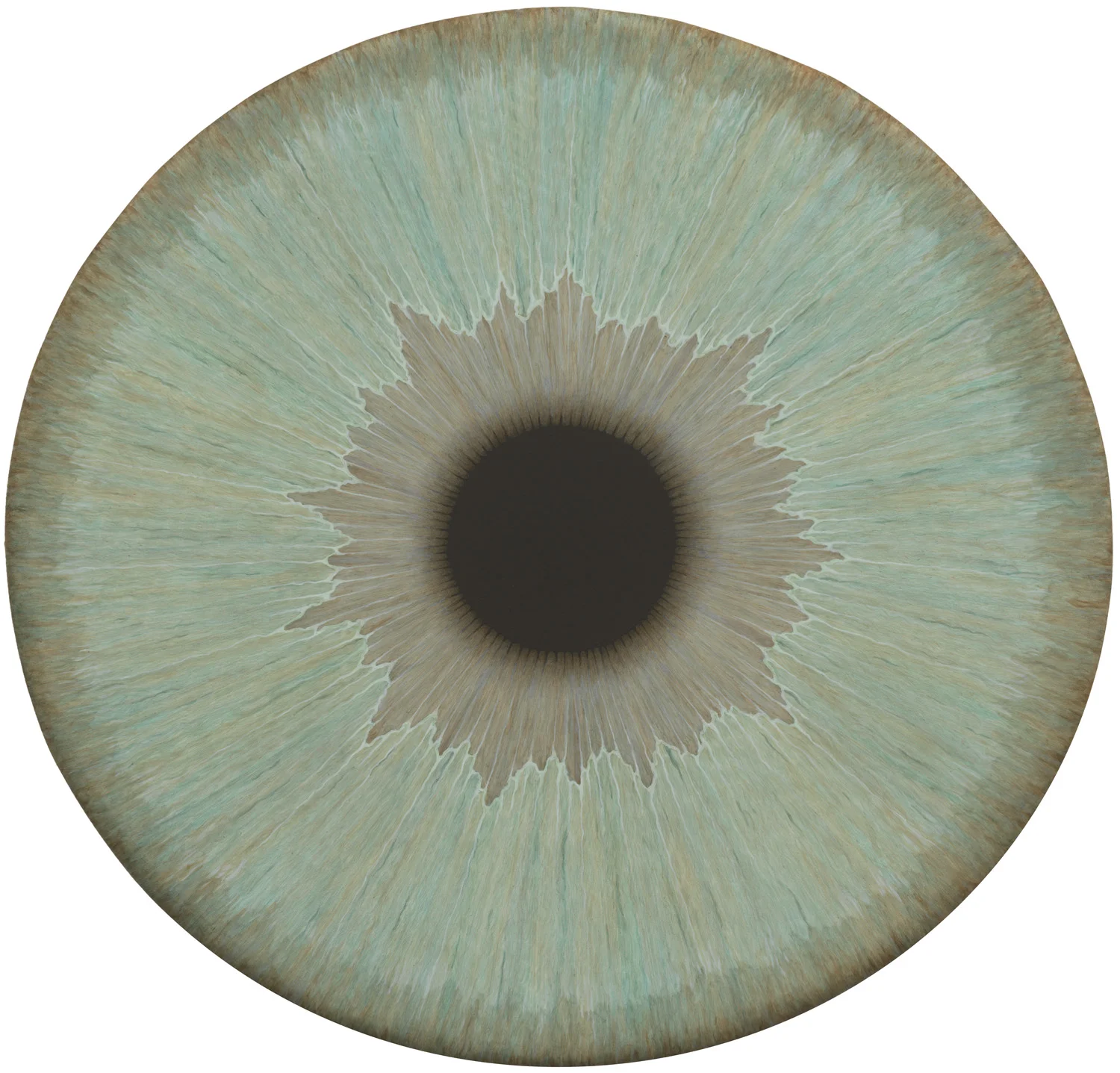 Visionary Machineries — Ulla Wiggen — Exhibitions — Galerie Buchholz — Image 41