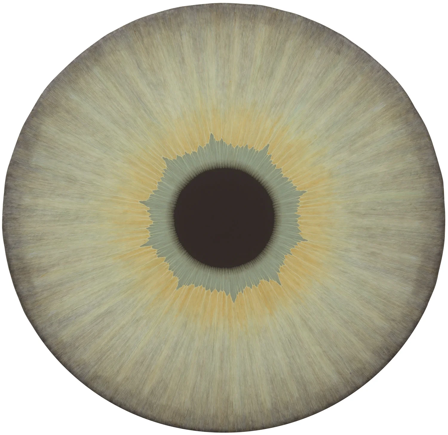 Visionary Machineries — Ulla Wiggen — Exhibitions — Galerie Buchholz — Image 45