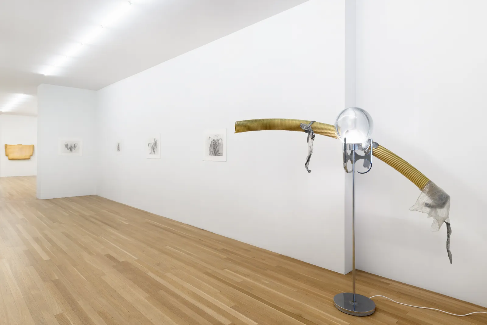 and a footnote on the idea of natural history in Jack Smith an exhibition organized with Juliane Rebentisch — Lutz Bacher, Isa Genzken,  Anne Imhof, Michael Krebber,  Henrik Olesen, Josephine Pryde  — Exhibitions — Galerie Buchholz — Image 04