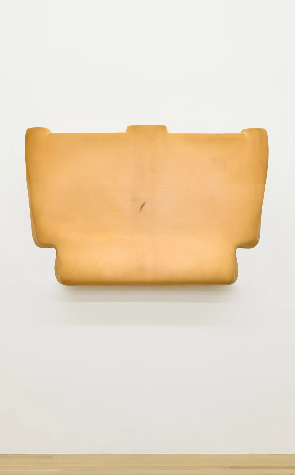 and a footnote on the idea of natural history in Jack Smith an exhibition organized with Juliane Rebentisch — Lutz Bacher, Isa Genzken, Anne Imhof, Michael Krebber, Henrik Olesen, Josephine Pryde — Exhibitions — Galerie Buchholz — Image 81
