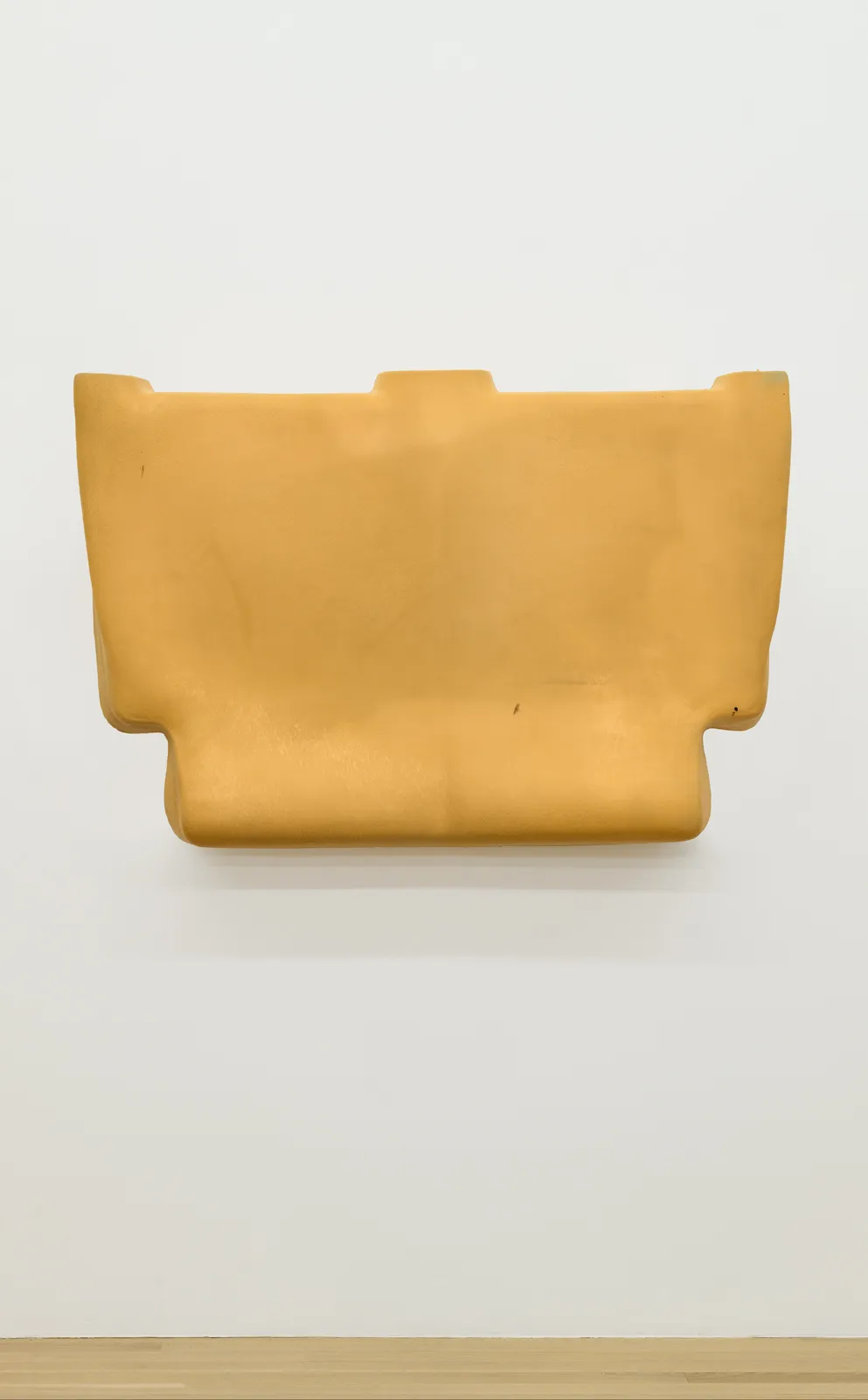 and a footnote on the idea of natural history in Jack Smith an exhibition organized with Juliane Rebentisch — Lutz Bacher, Isa Genzken, Anne Imhof, Michael Krebber, Henrik Olesen, Josephine Pryde — Exhibitions — Galerie Buchholz — Image 83
