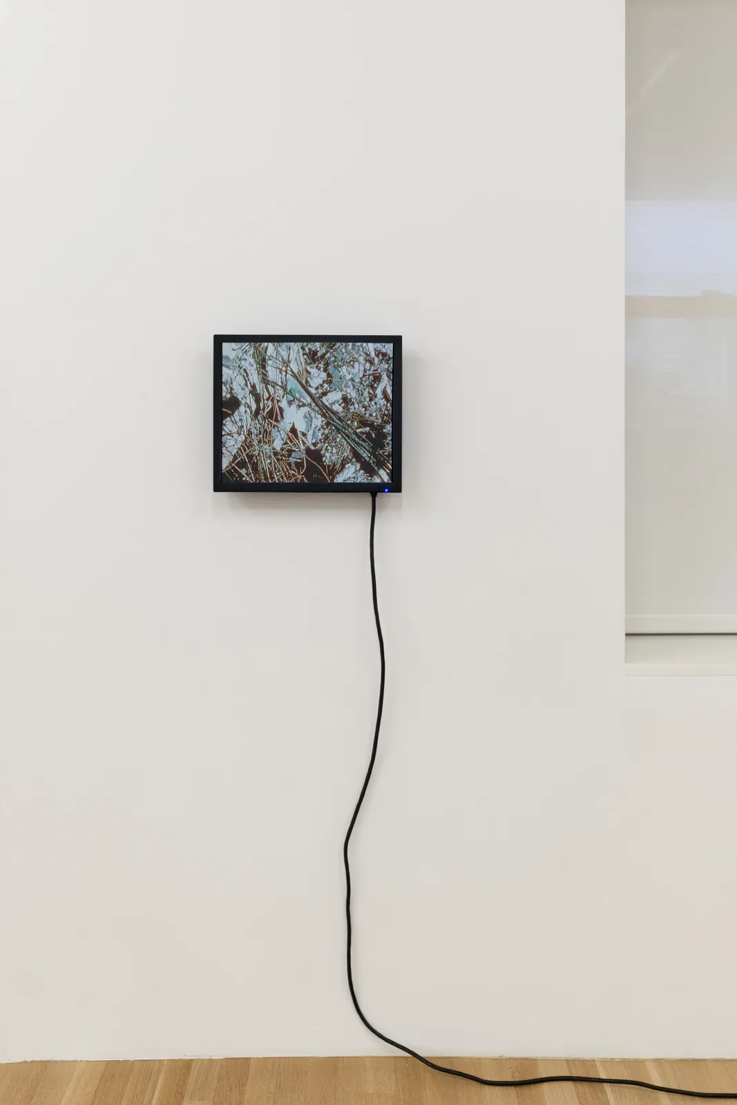 and a footnote on the idea of natural history in Jack Smith an exhibition organized with Juliane Rebentisch — Lutz Bacher, Isa Genzken, Anne Imhof, Michael Krebber, Henrik Olesen, Josephine Pryde — Exhibitions — Galerie Buchholz — Image 42