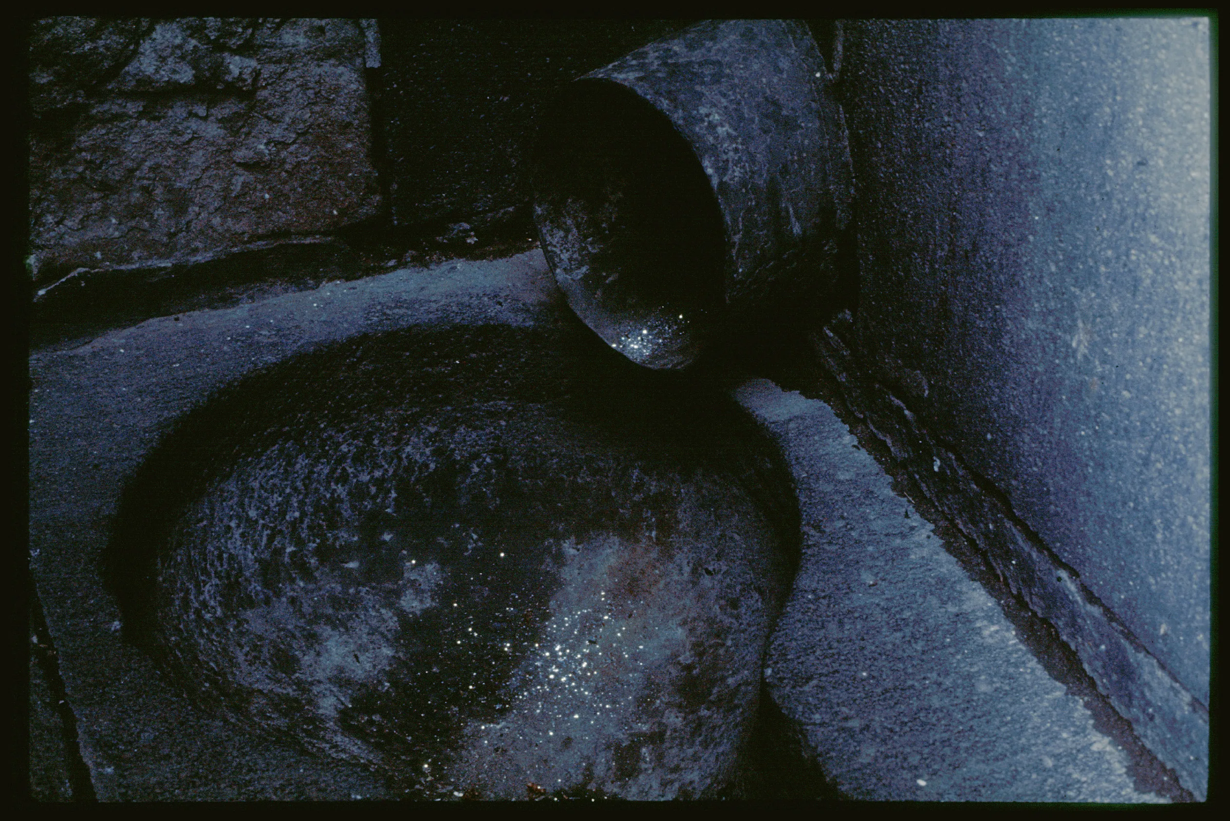 and a footnote on the idea of natural history in Jack Smith an exhibition organized with Juliane Rebentisch — Lutz Bacher, Isa Genzken, Anne Imhof, Michael Krebber, Henrik Olesen, Josephine Pryde — Exhibitions — Galerie Buchholz — Image 01