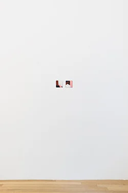 Exhibition curated by Yve-Alain Bois — Christophe Verfaille — Exhibitions — Galerie Buchholz — Image 53