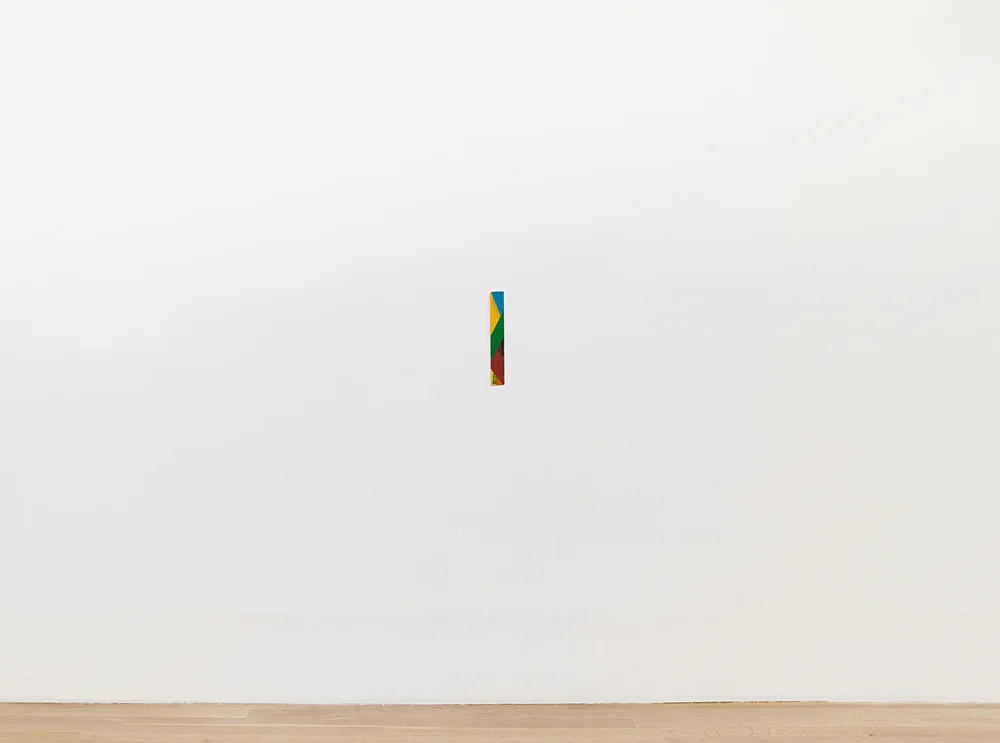 ExhibitioncuratedbyYveAlainBois — Christophe Verfaille — Exhibitions — Galerie Buchholz — Image 00