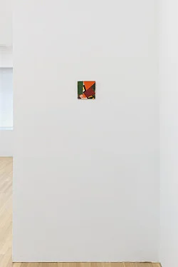 Exhibition curated by Yve-Alain Bois — Christophe Verfaille — Exhibitions — Galerie Buchholz — Image 66