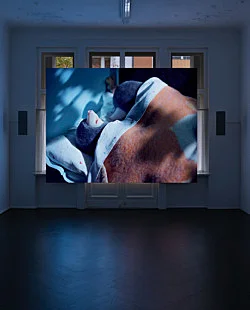 Dolle — Diego Marcon — Exhibitions — Galerie Buchholz — Image 17
