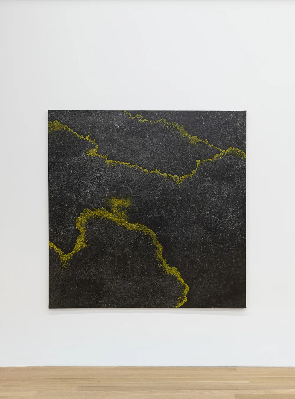 5 Paintings 1962-1963 — Paul Thek — Exhibitions — Galerie Buchholz — Image 14